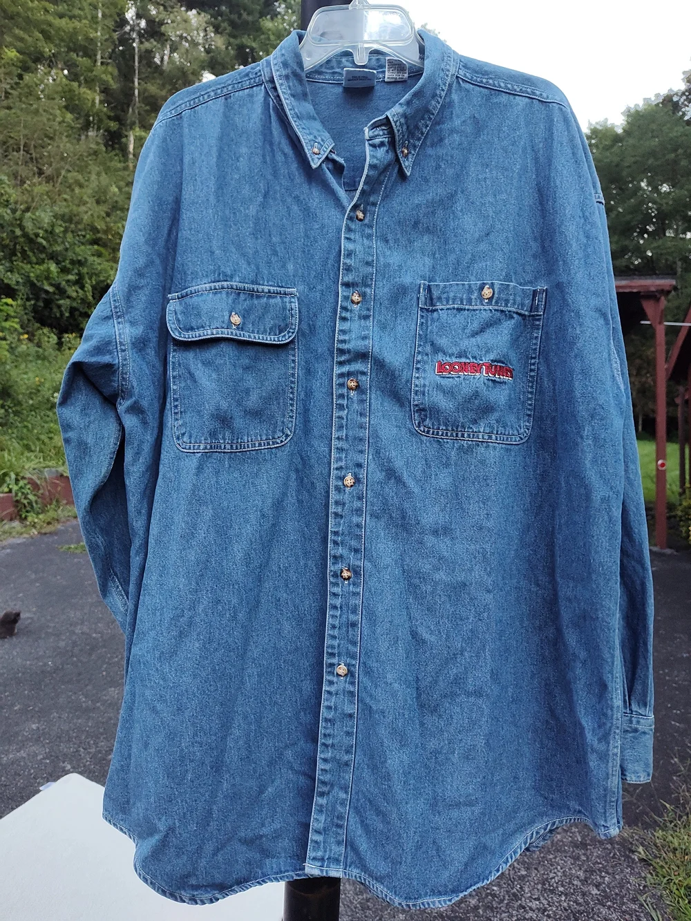 Casual Blue Jean Denim Button-Down Looney Tunes Shirt